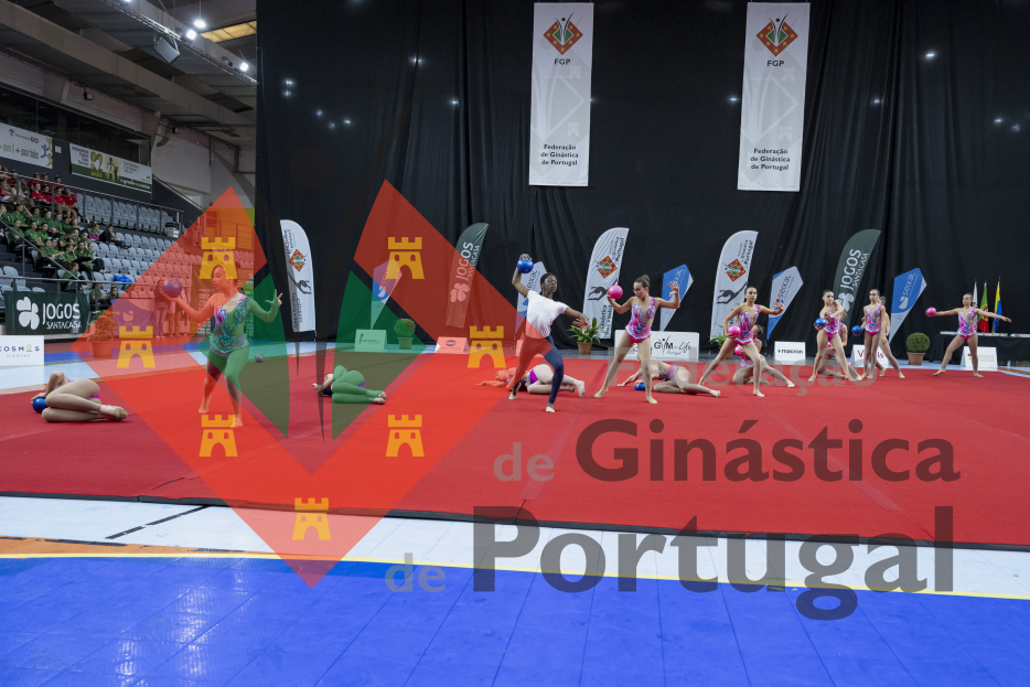 1172_Gym for Life Portugal